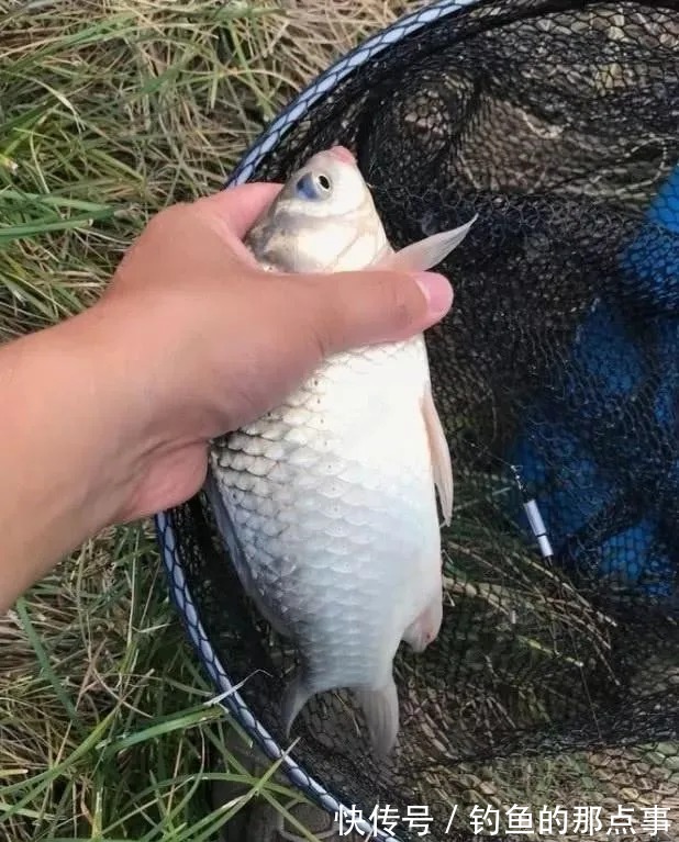 遇到这3种漂相,一定要“忍”,否则错过的都是“大家伙”