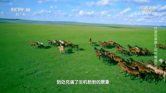 玉门关 不愧是央视,拍的“大语文”综艺简直一流