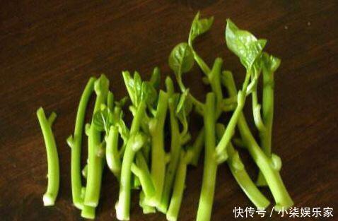 采摘|3种吃剩的“菜杆子”,丢土里,长成一片“绿萝”,3天采摘一大盆