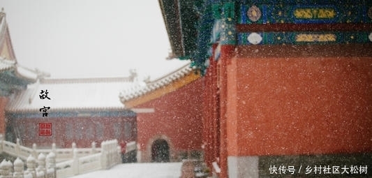 《故宫观止》书评:那些故宫的守护者们