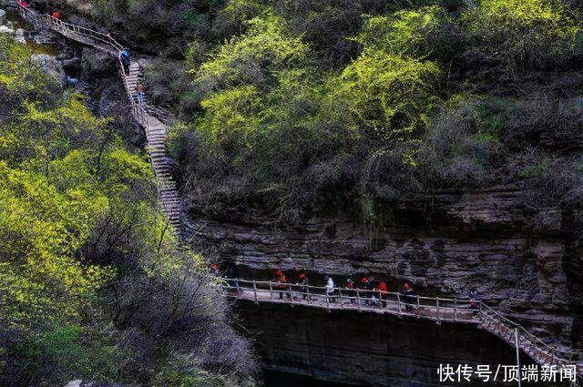 河南奇景!藏身5A的太行天路，腾于千米崖壁，云雾林海无边，太壮美啦→