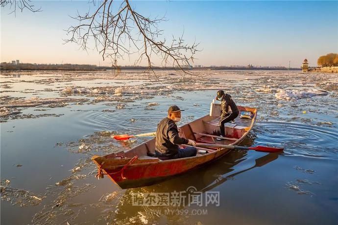 这才是最美的“快消”｜冰城特供，只此一季#超多美图【网络中国节·清明】