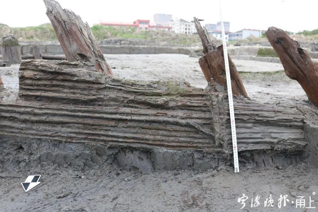  2号护岸|罕见！宁波又有重大发现！