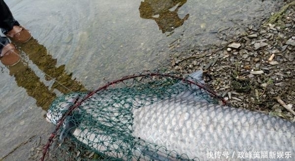 库钓三种抛竿阵型，每一种都有不同的诱聚的效果