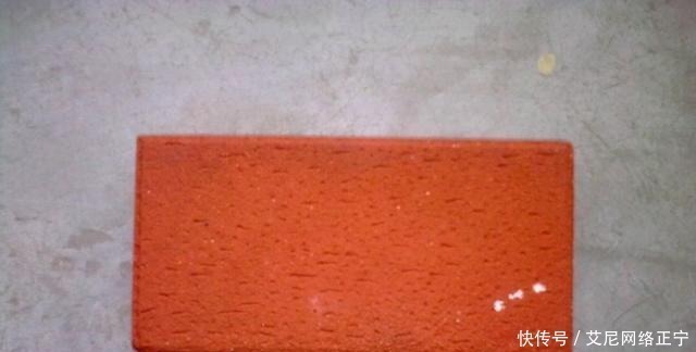 营养土还在花钱买?几种东西“掺一点”,土壤“肥得流油”!