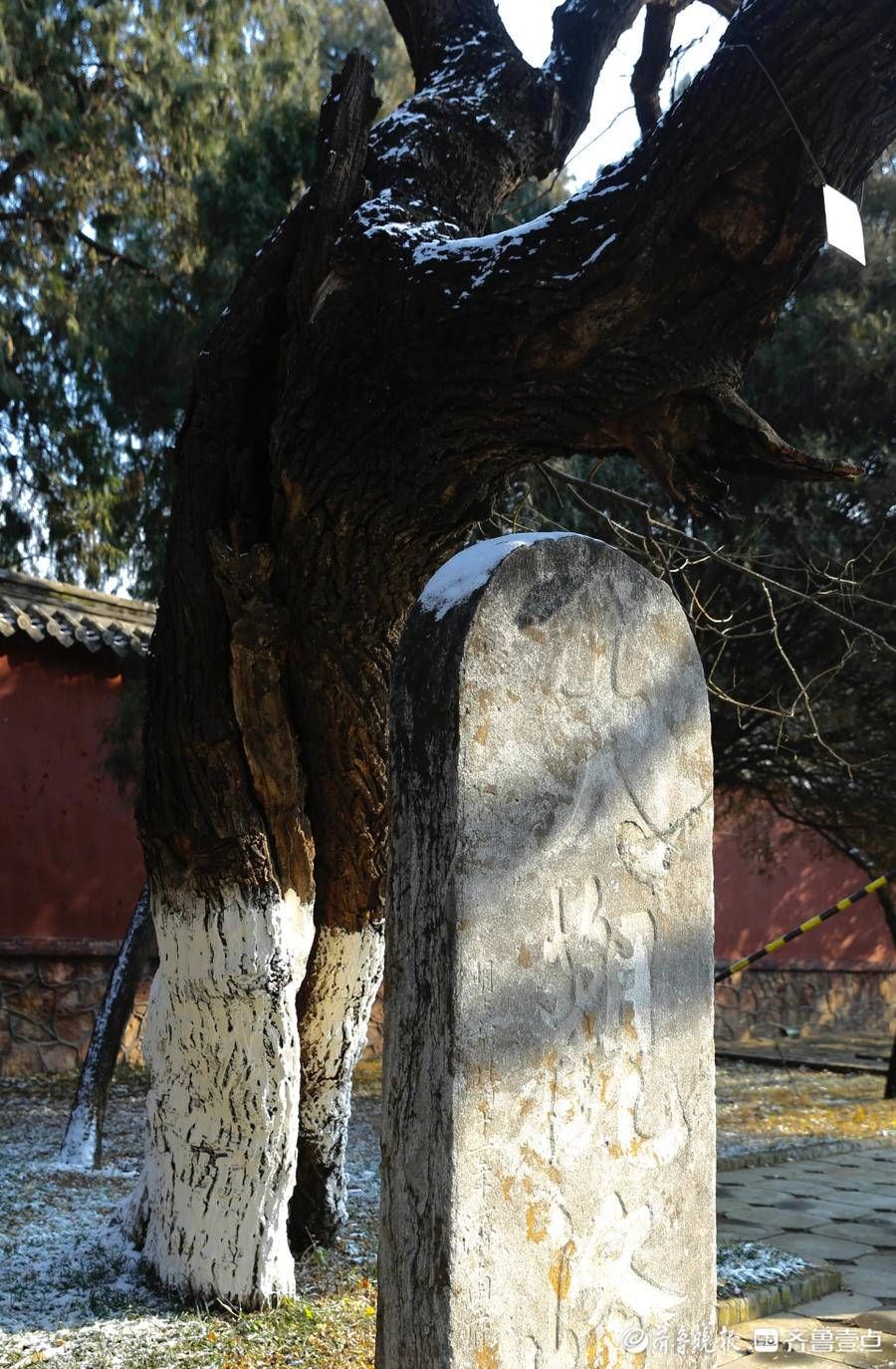 汉柏|壹图集｜2021年12月24日，雪后泰安岱庙，红墙金瓦映白雪