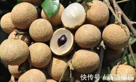 健康|晚上睡前吃桂圆,对健康好还是坏?今天一次性告诉你答案,了解下