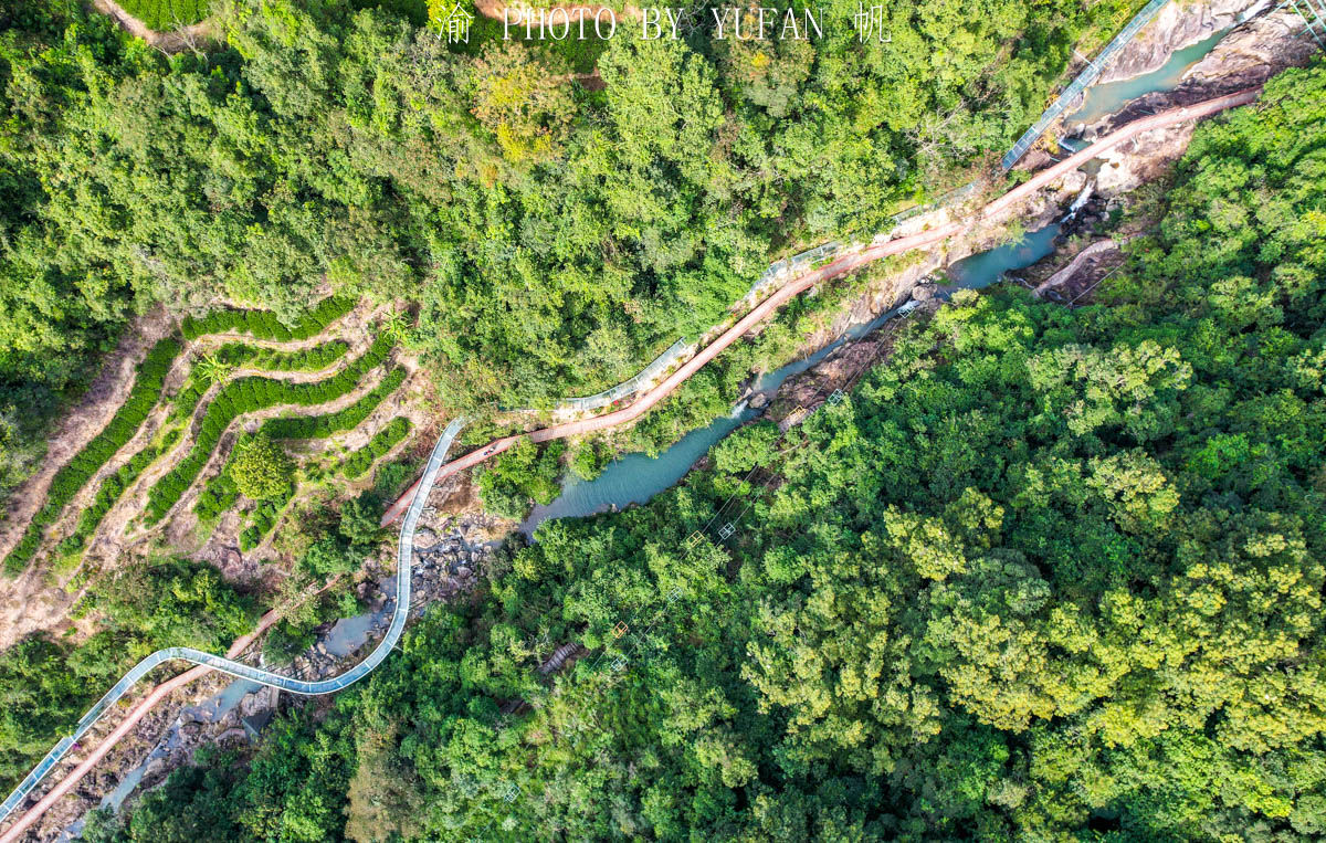 单枞茶|潮州也有大峡谷，位于粤东最高的大山中，青山碧水如天然氧吧