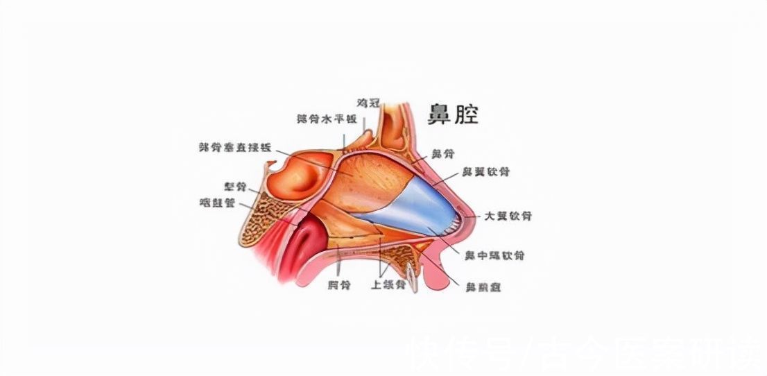 热水泡脚|鼻塞不一定是感冒，医生：查明原因，及时治疗很关键