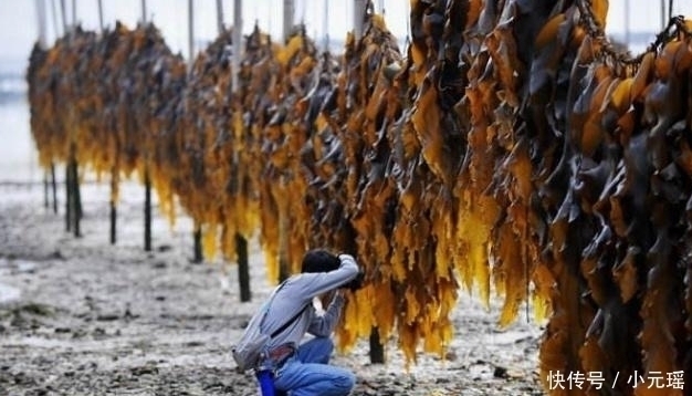 子宫|它是天然“黄体酮”，女人经常吃一点，子宫可能会对你说“谢谢”