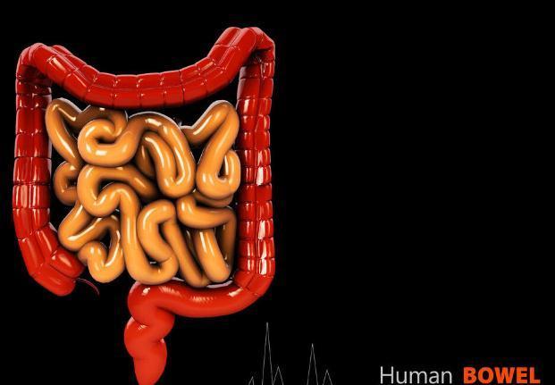 锻炼|便秘的“源头”终于找到了！缓解便秘：4招让肠道''畅通无阻''