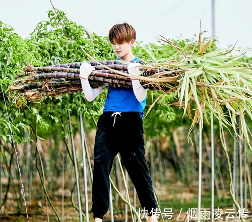 任嘉倫|任嘉倫在《向往》下地干活時(shí),誰看到他穿的鞋子?真當(dāng)自己沒女粉