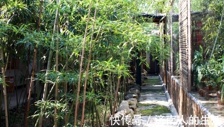 庭院缘何有“门前不栽竹,屋后不栽树”的说法,原因都在这里