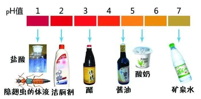 毁容|又是它!女子半夜关灯玩手机,差点致毁容!