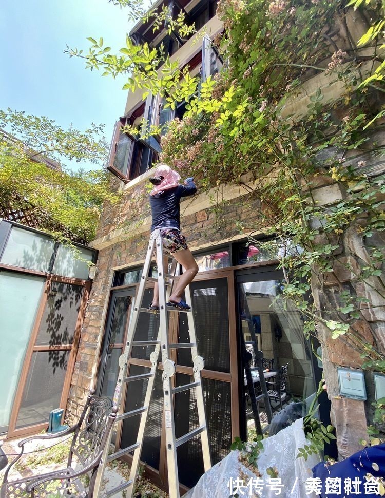 无尽夏|庭院改造：50㎡的下沉式庭院造花园，有地我也建一个，太好看了！