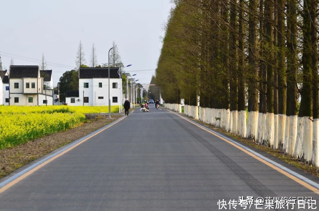 清明节该去趟江苏了，这份3000字的自由行攻略请拿好