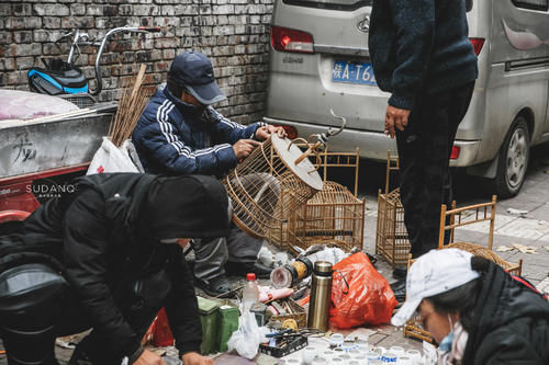 一件人造虎皮880！西安这个百年集市太好玩了，每周只开市两天