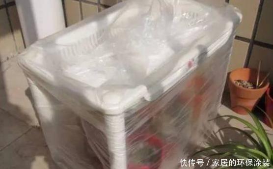 塑料袋|塑料袋养花:6个小方法,看完就有人后悔以前全扔了