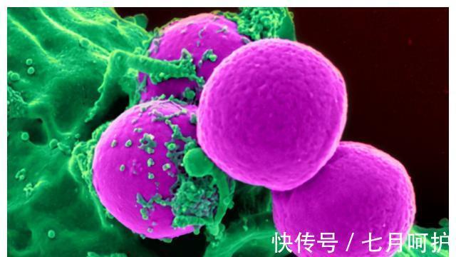 肿瘤医院|只有3%机会存活!肿瘤医院院长患肝癌,4个经验抗癌多活15年