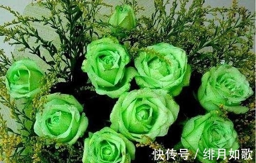 双鱼座|8月运势红通通，4大星座贵人相助，财运全面开花，日子无比甜蜜