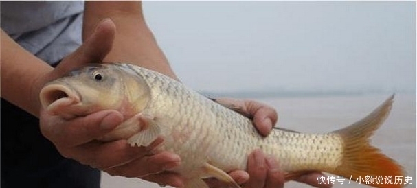 小药|钓友们一定要小心渔具带来的伤害，可能是致命的伤害