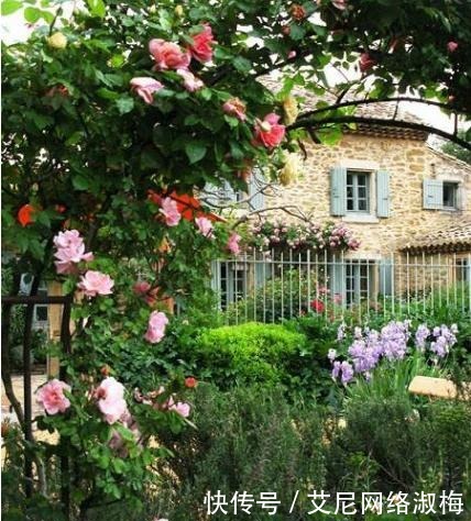 老公|老公闲来无事就“折腾”庭院,不夸,真叫个诗情画意