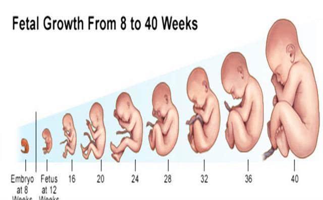 分娩|剖腹产为何要在孕38周而不是40周?别看只差两周,差距不是一点点