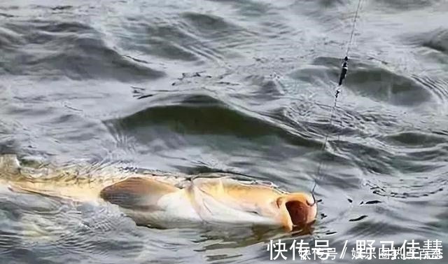 浮漂|一半钓鱼人还不知,秋钓出现这3种情况,说明找底出了问题!