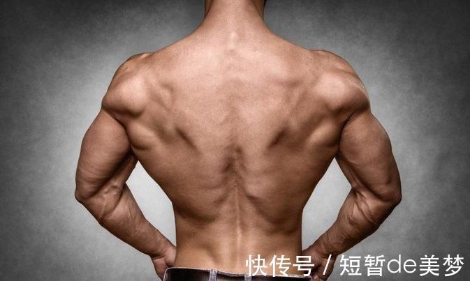 引体向上|训练背阔肌最好的7个动作,做对了让你的训练效果大不同