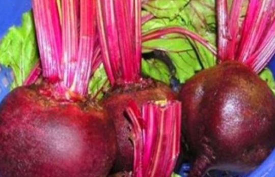 女性|女性到了中年常吃3种食物,营养丰富,排毒清肠,不容错过