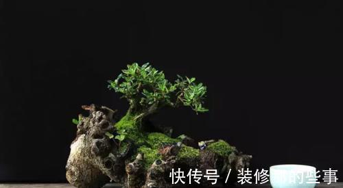 个性|破壶烂瓦做盆，每一个都破出了个性