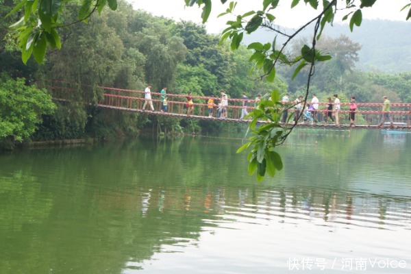 深圳这座公园迅速走红，规模远超“大梅沙”，有百处景点免费游览