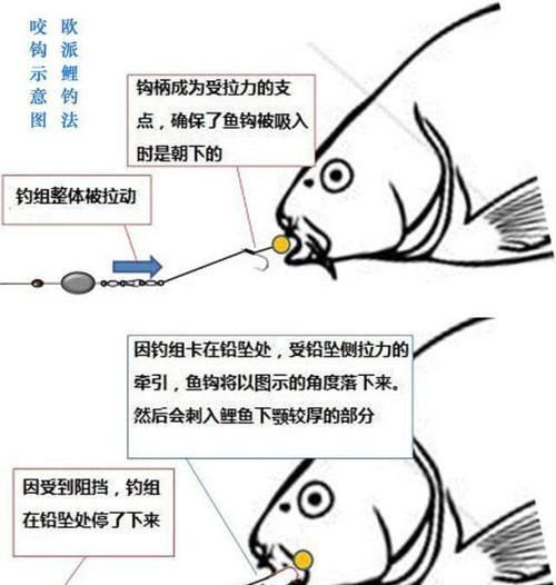 在欧洲钓鲤鱼是一项非常高大上的运动,一套装备要几干欧