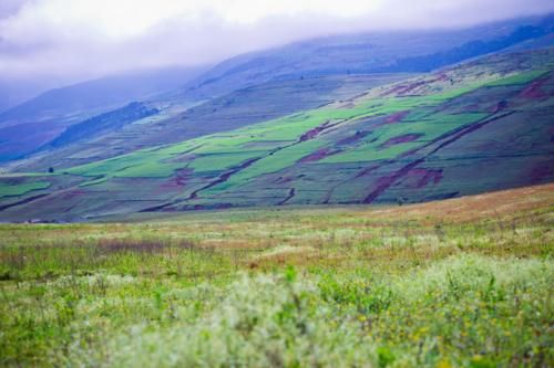 四川最适合旅居的5线小城，环境好空气好，这4个景点美不胜收