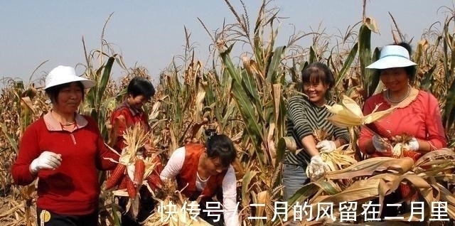 月薪|国内市场，有多少月收入过2万的人？70万人的统计结果确切吗？