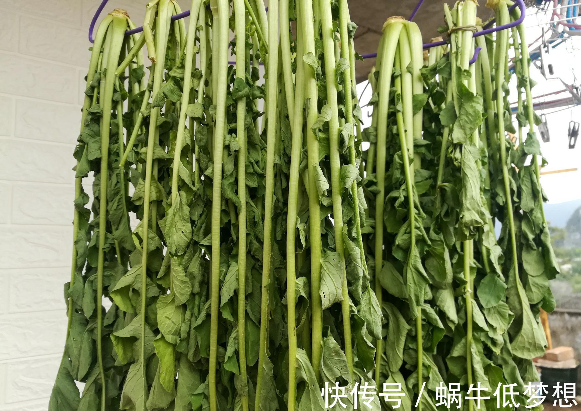 蔬菜中的“人参”，叶子营养极高，10月正鲜嫩，做成酸菜特下饭
