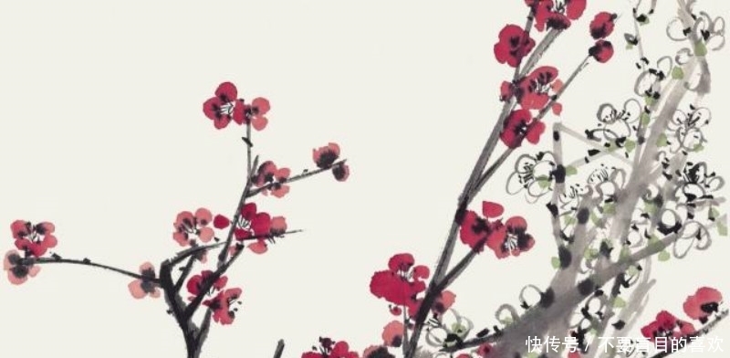 经典|杜甫的这首《江梅》,也是不应该被忽略,写出了最深情的梅花!