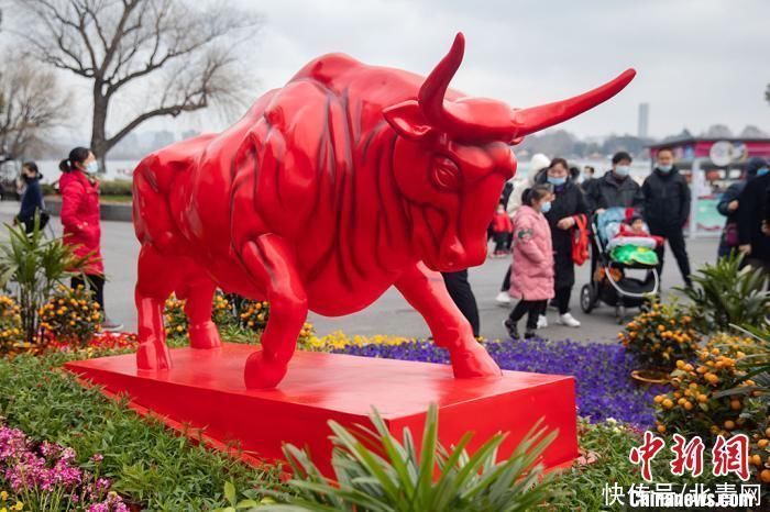春节至 南京街头“牛气冲天”年味浓