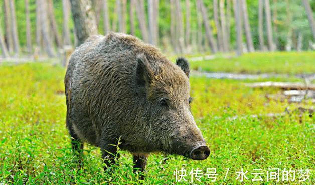 财神|8月以后，财神点名，突破瓶颈，3生肖勇往直前，人生即将大逆袭