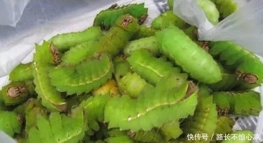 在缅甸集市上卖的东西千奇百怪,胆子小的人不要乱逛!