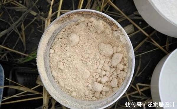 试试|春钓大板鲫,可以试试蘸饵钓,春季野钓狠招数