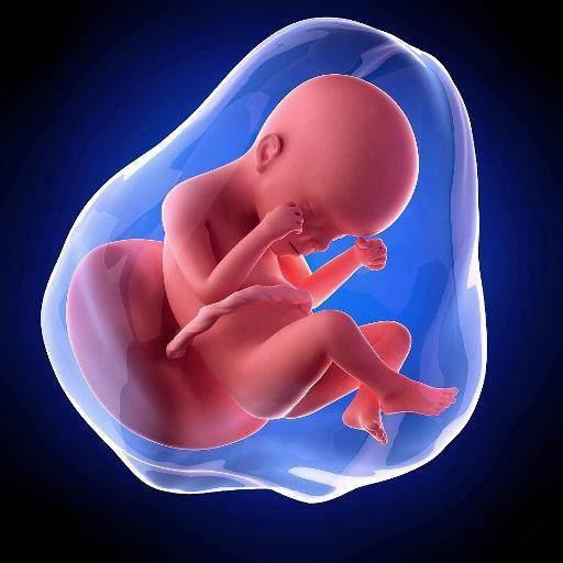 试纸|孕晚期羊水突然破了,第一件事该干什么