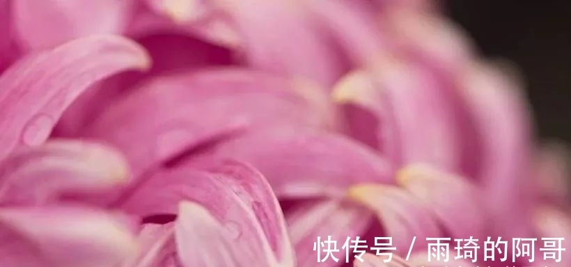 生肖|2月初，月老恰好路过，带来缘分与桃花，拥抱温暖爱情的3大生肖