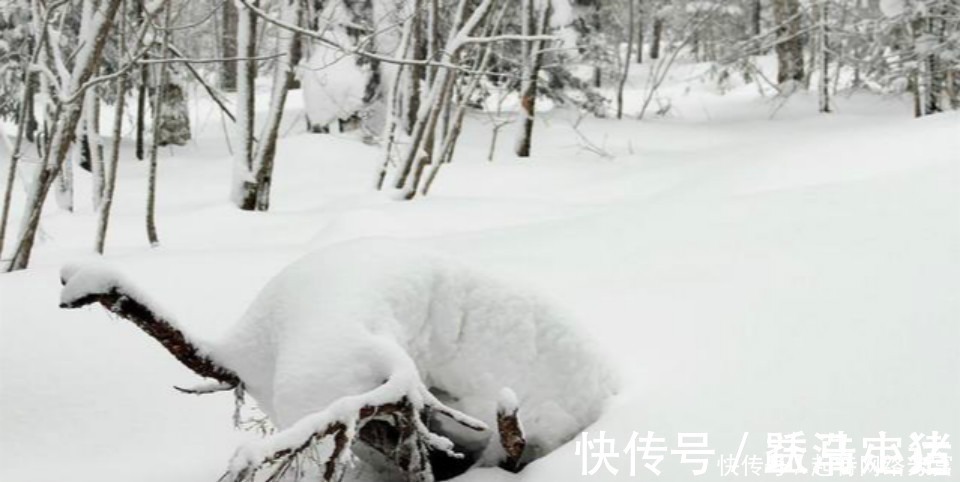 小军官#此人只是一位小军官,却写下一首气势磅礴的诗,读来令人热血沸腾