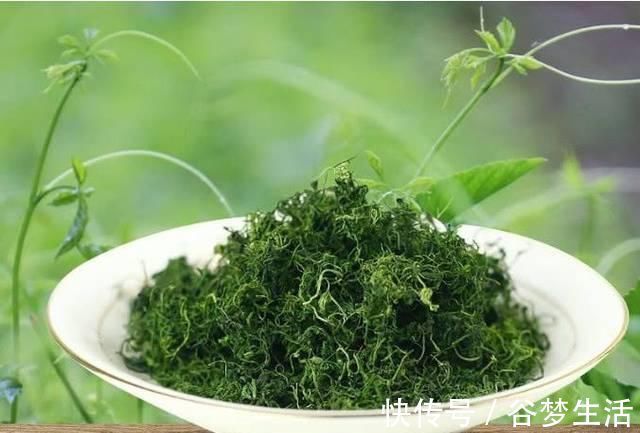 血糖|糖尿病的“克星”,坚持吃,修复胰岛,血糖“悄悄”降下来