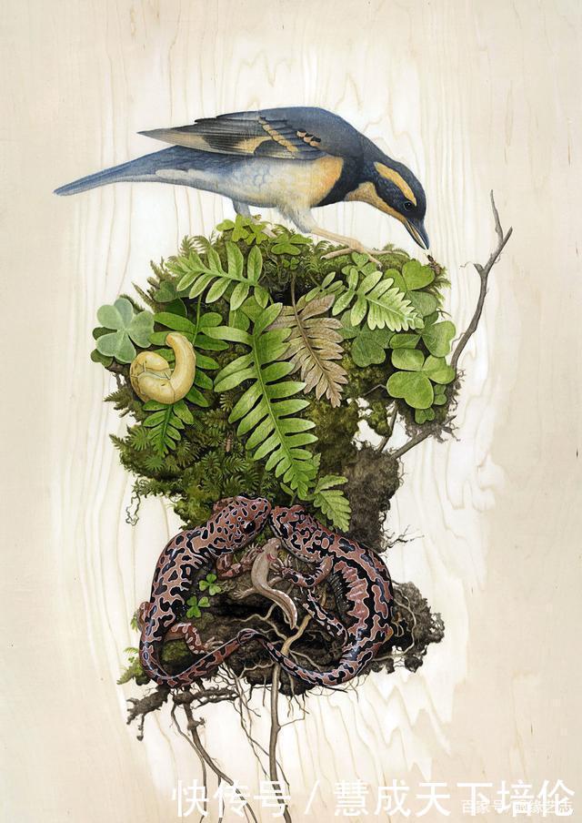 感恩|博齐奇的自然幻境异想天开的科学艺术,感恩生命的生物美学