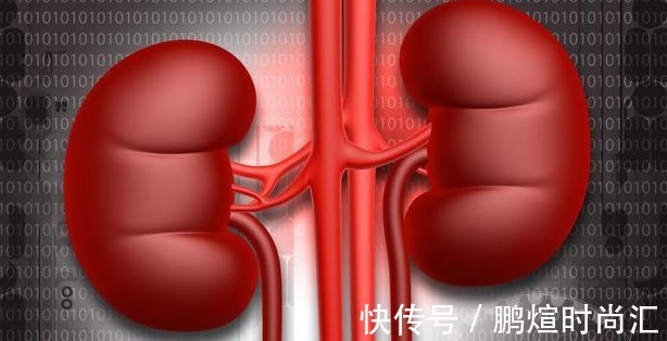 肾亏损|补肾“王牌”终于发现!不是猪腰子,没事常喝,肾越来越“强壮”
