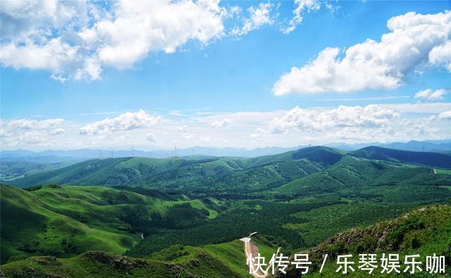 马儿|中国避暑的首选目的地，自驾爱好者的天堂，一路风景如画