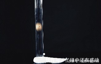 拖鞋|小米推「空调鞋」！不到百元硬刚Yeezy，穿上降10℃比拖鞋还透气