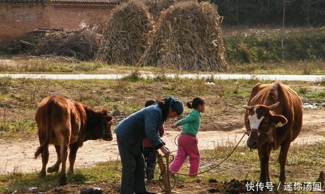  不规律|俗语：人过四十，不睡三觉，不求三人，是什么意思？有什么道理？